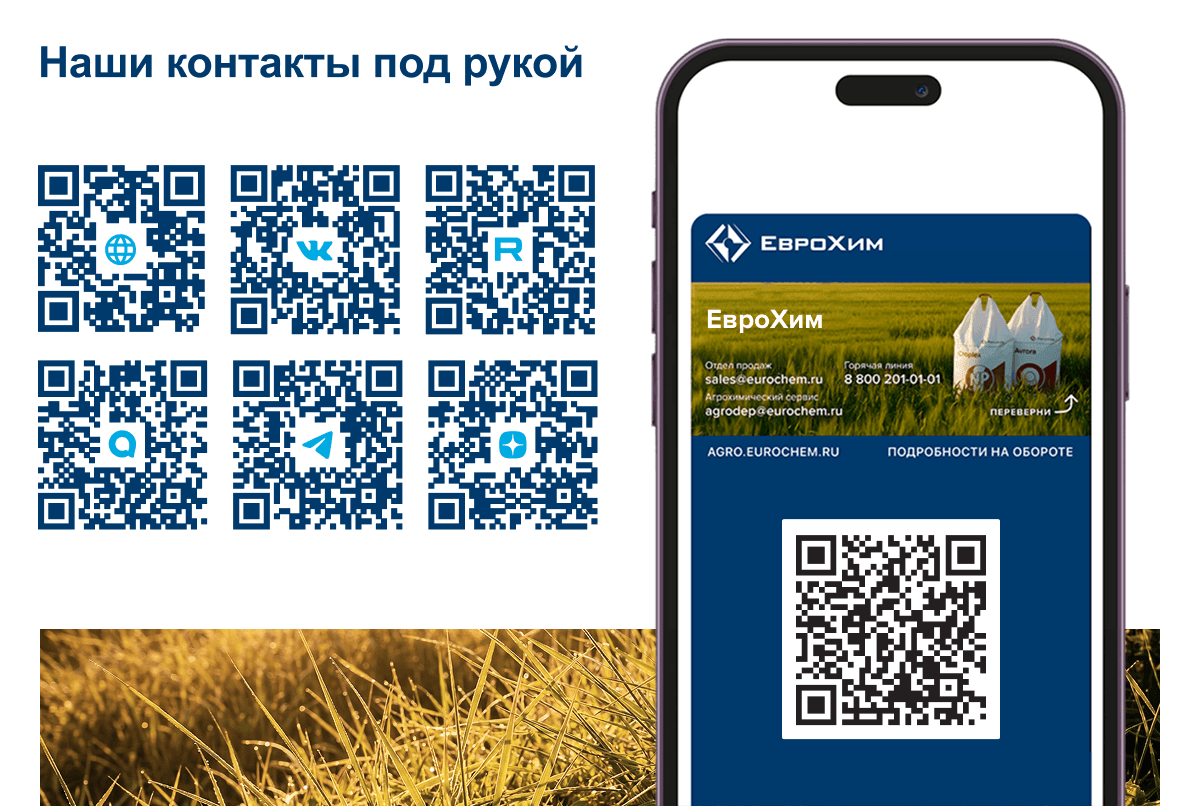 ссылки