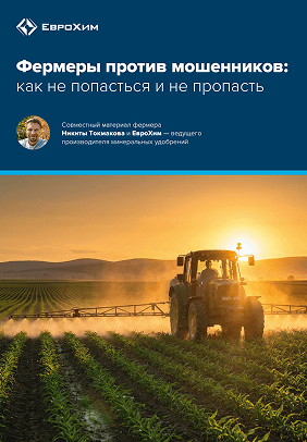 Мария Визирская